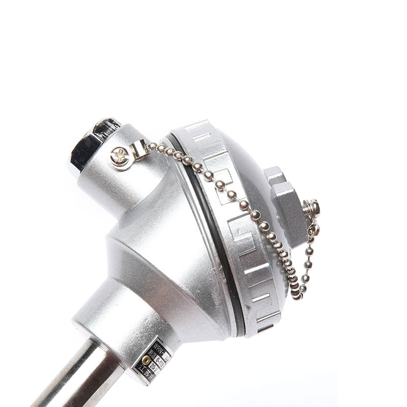 0.2~0.4mm 와이어 직경 유형 S/B/R 백금-로듐 열전대로 용융 금속용 고온 센서 프로브